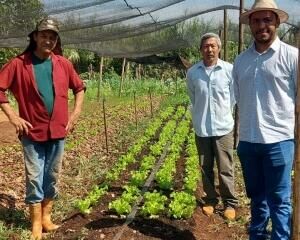 Imagem de compartilhamento para o artigo Prefeitura de Paraíso das Águas fortalece agricultura familiar com patrulha mecanizada da MS Todo dia